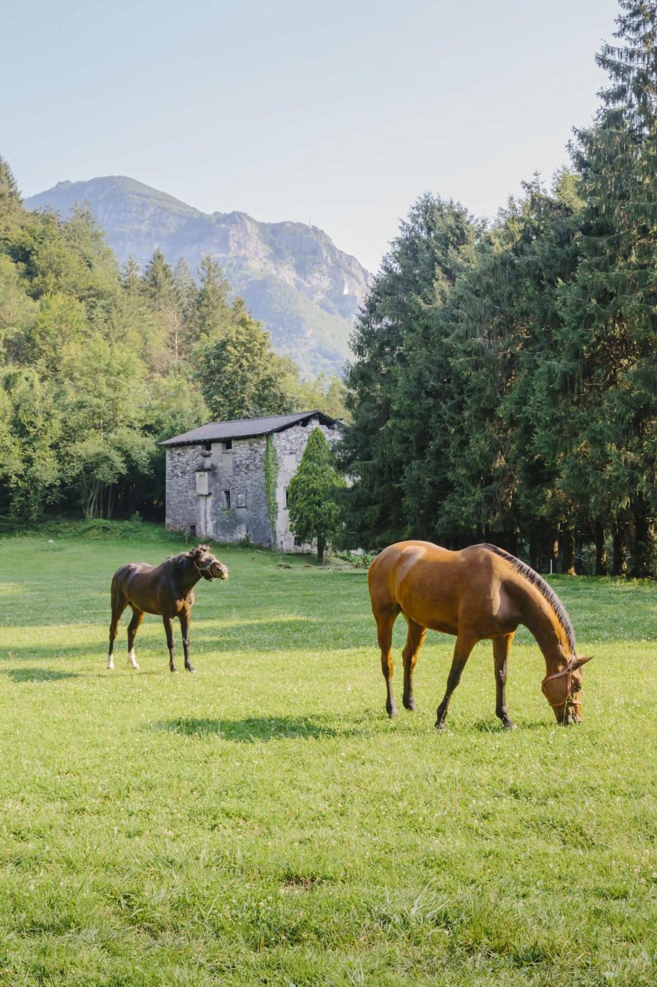Agriturismo Ferdy Villa Lenna Eksteriør bilde