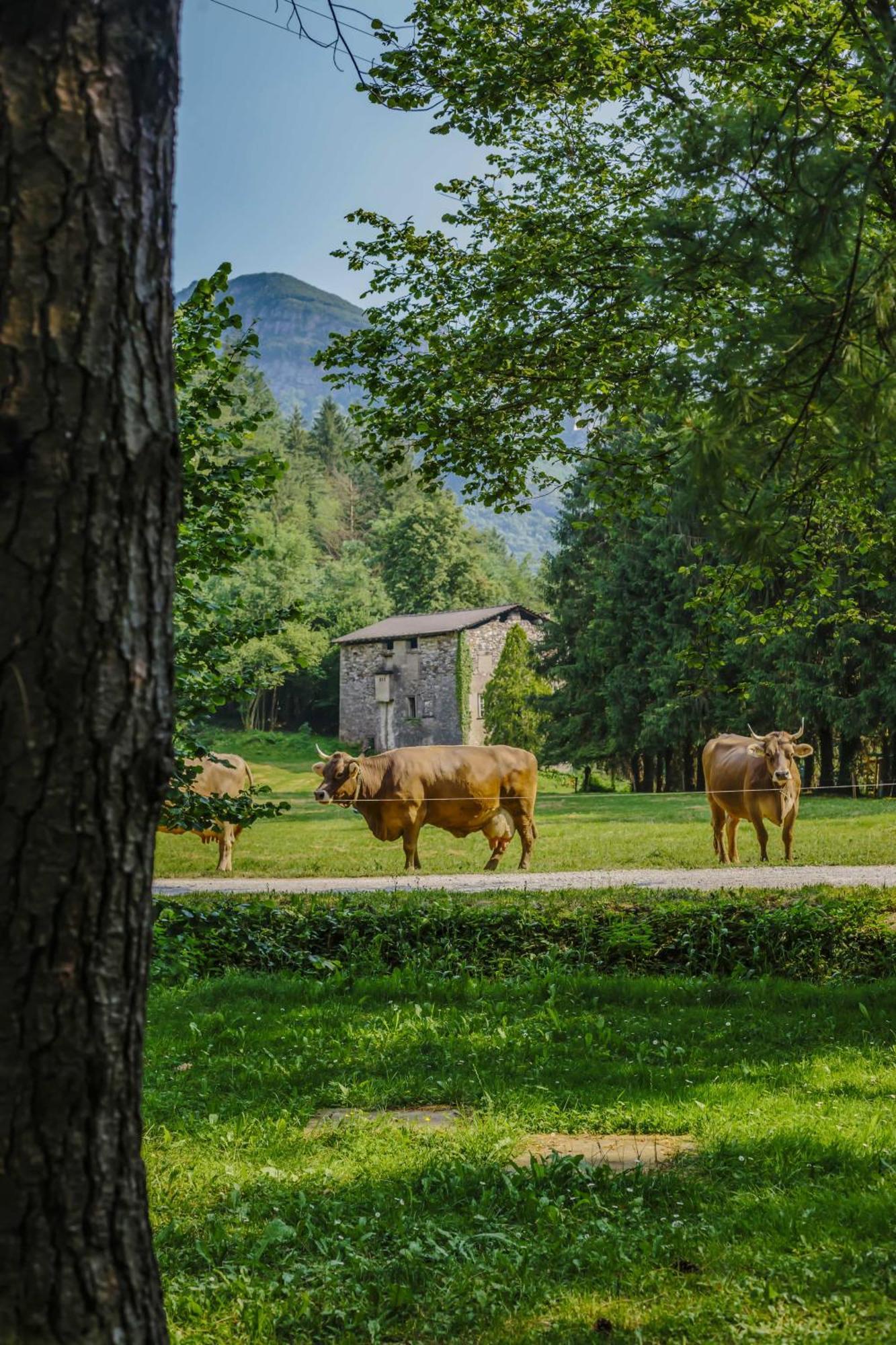 Agriturismo Ferdy Villa Lenna Eksteriør bilde